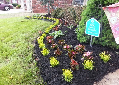 Landscape Company in Tulsa