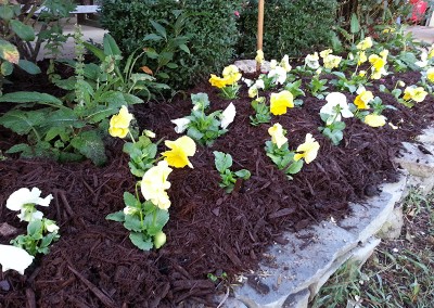 Landscape Company in Tulsa