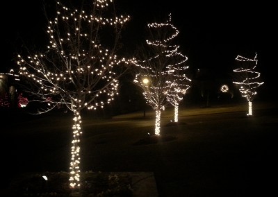 Landscape Company in Tulsa