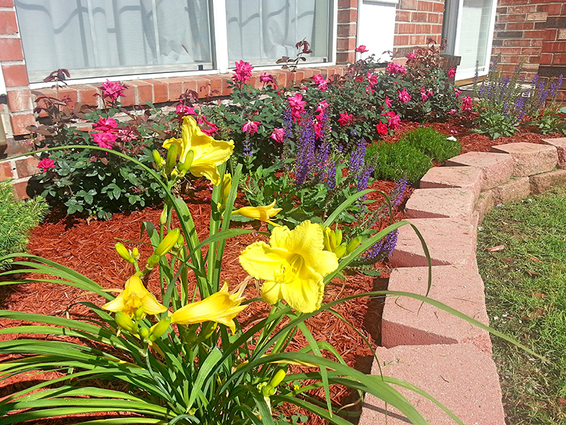 Landscaping Design A landscape we designed in Tulsa, Oklahoma.