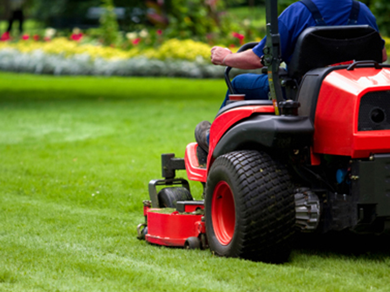 Lawn Care Image of us doing lawn care maintenance